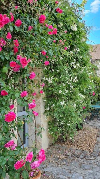 Belle Suite Dans Corps De Ferme - Logement Alicia Villiers-sous-Grez Exterior foto